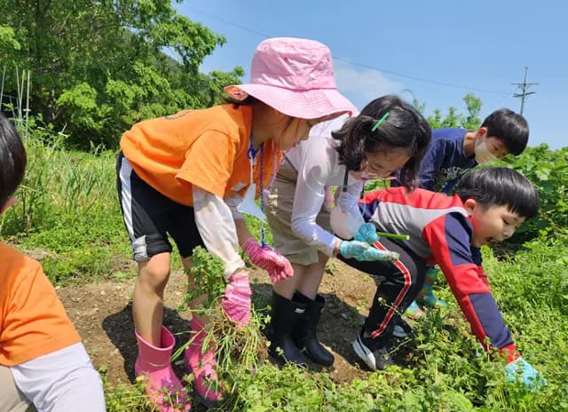 생태문화교육허브 봄 활동 사진