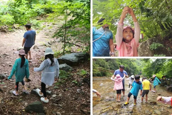 생태문화교육허브 봄 활동 사진